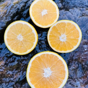 赣南脐橙