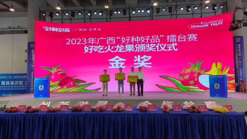 胭脂玉双色火龙果苗大量供应基地直发对接全国市场欢迎咨询