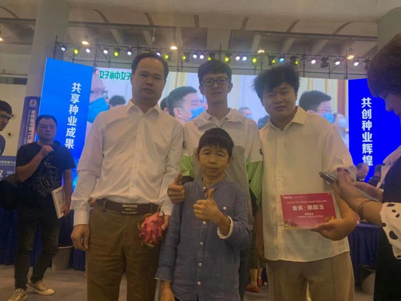 胭脂玉双色火龙果苗大量供应基地直发对接全国市场欢迎咨询
