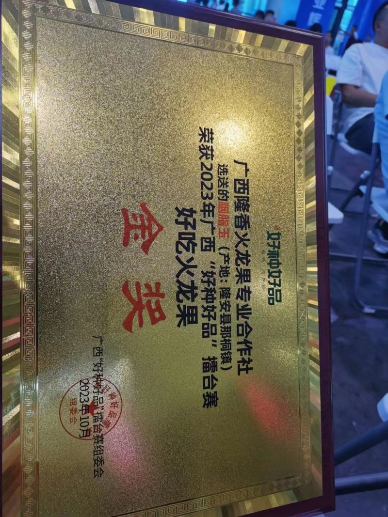 胭脂玉双色火龙果苗大量供应基地直发对接全国市场欢迎咨询