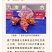 胭脂玉双色火龙果苗大量供应基地直发对接全国市场欢迎咨询