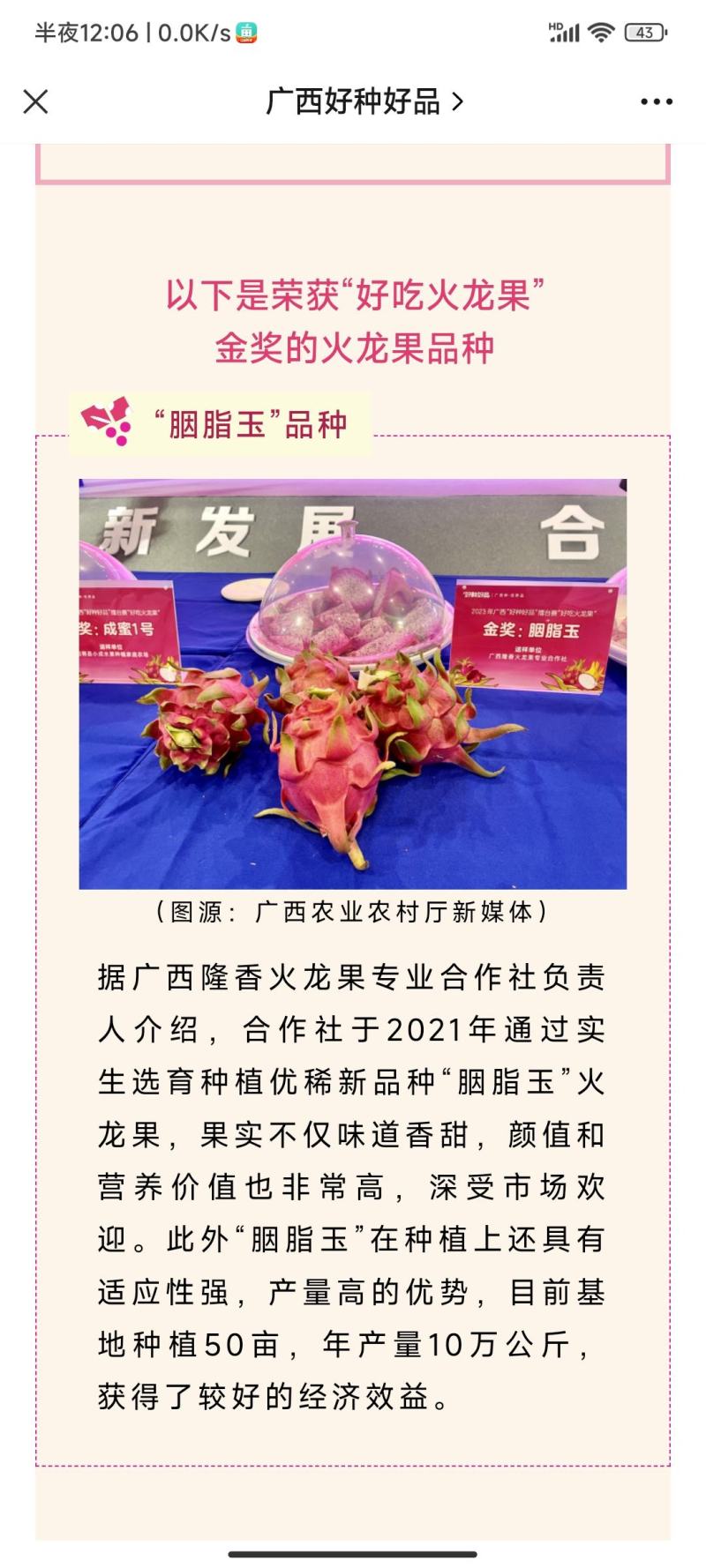 胭脂玉双色火龙果苗大量供应基地直发对接全国市场欢迎咨询