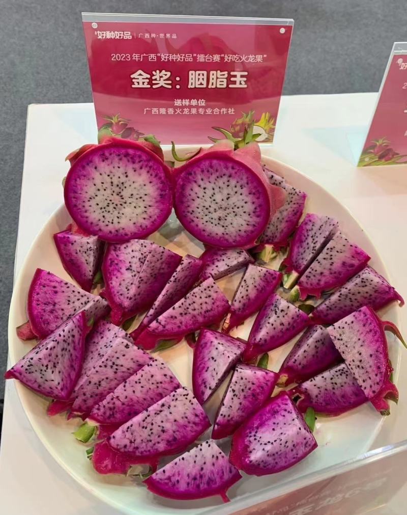 胭脂玉双色火龙果苗大量供应基地直发对接全国市场欢迎咨询