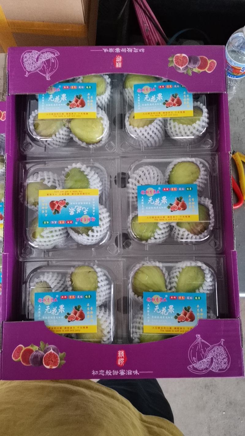 云南热带波姬红无花果