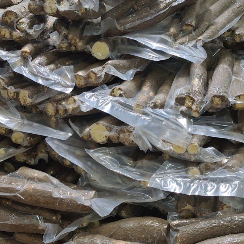 广西糯米面包黄肉黄金木薯黄心木薯，板栗木薯产地批发价供应