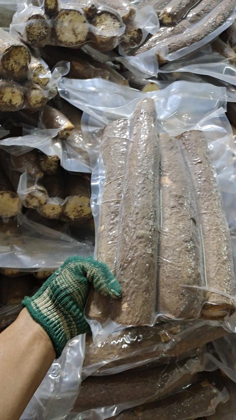 广西糯米面包黄肉白肉木薯水晶木薯，板栗木薯产地批发价供应
