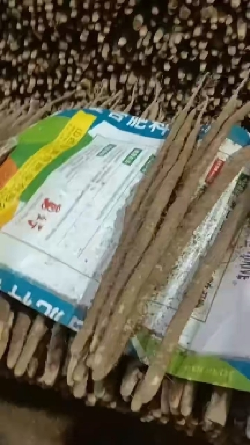 精品小白嘴白山药产地直供，口感软弱香甜，价格美丽
