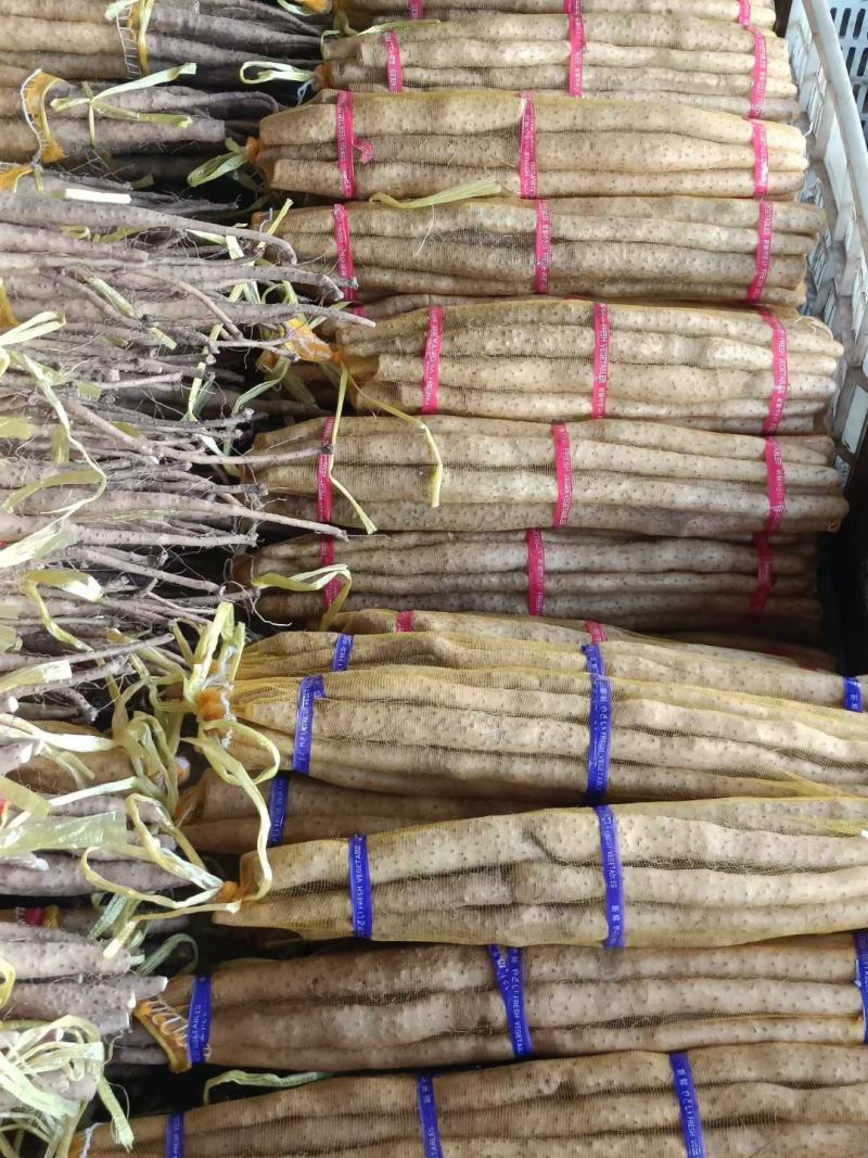 精品小白嘴白山药产地直供，口感软弱香甜，价格美丽