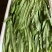 油麦菜