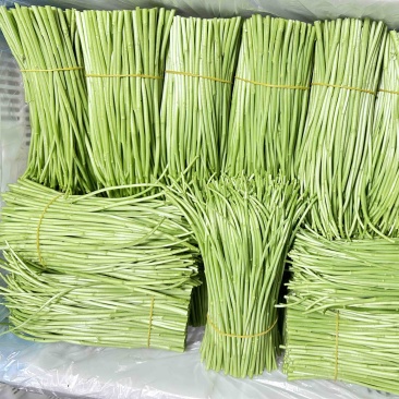 精品黎蒿需要的老板请下单