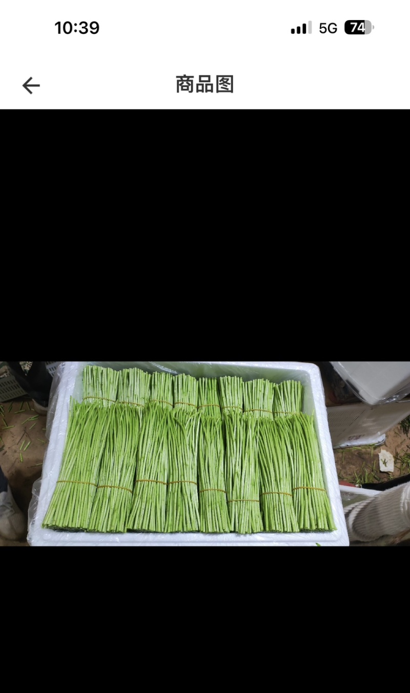 精品黎蒿需要的老板请下单