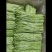 精品黎蒿需要的老板请下单