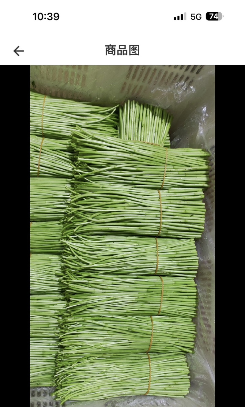 精品黎蒿需要的老板请下单
