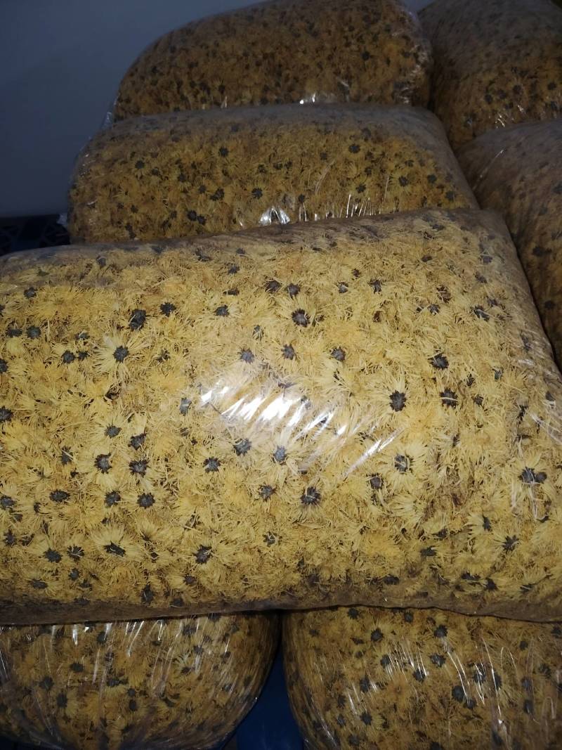 金丝皇菊统货五吨