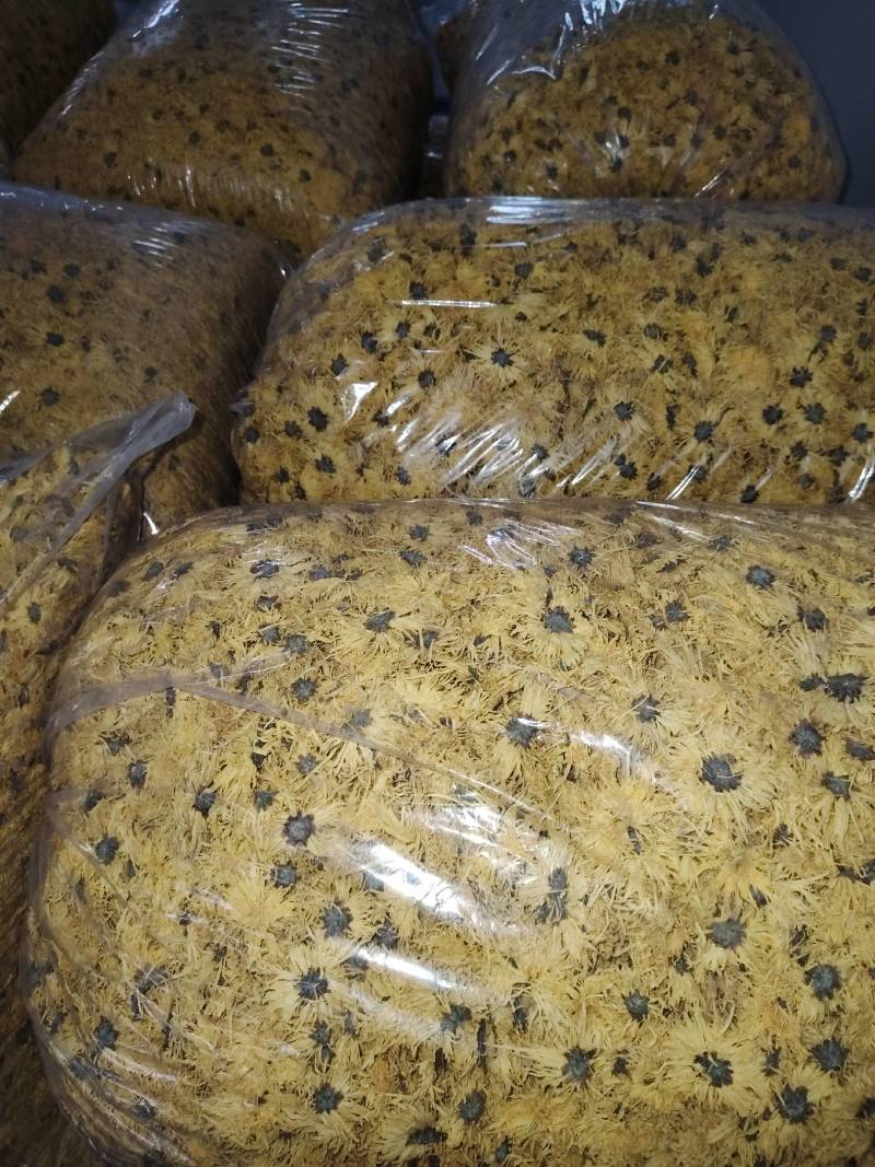 金丝皇菊统货五吨
