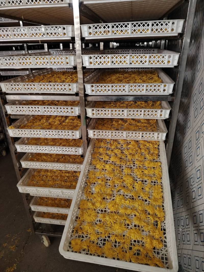 金丝皇菊统货五吨