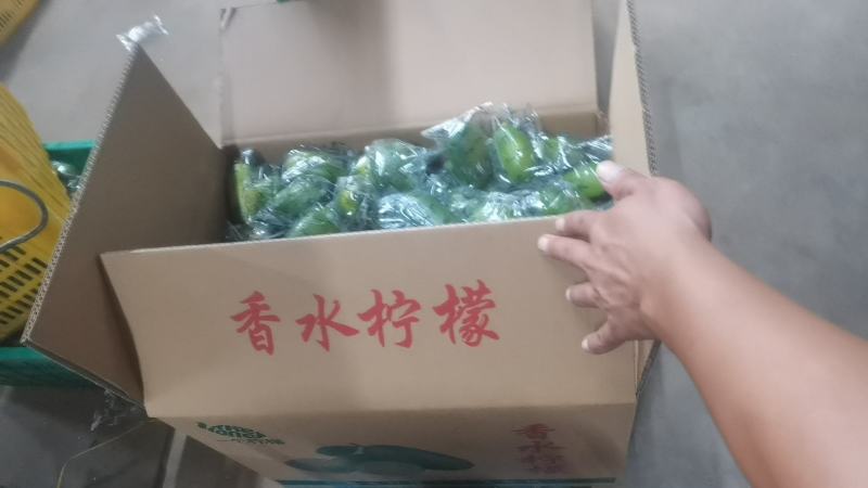 香水柠檬75~2.6两