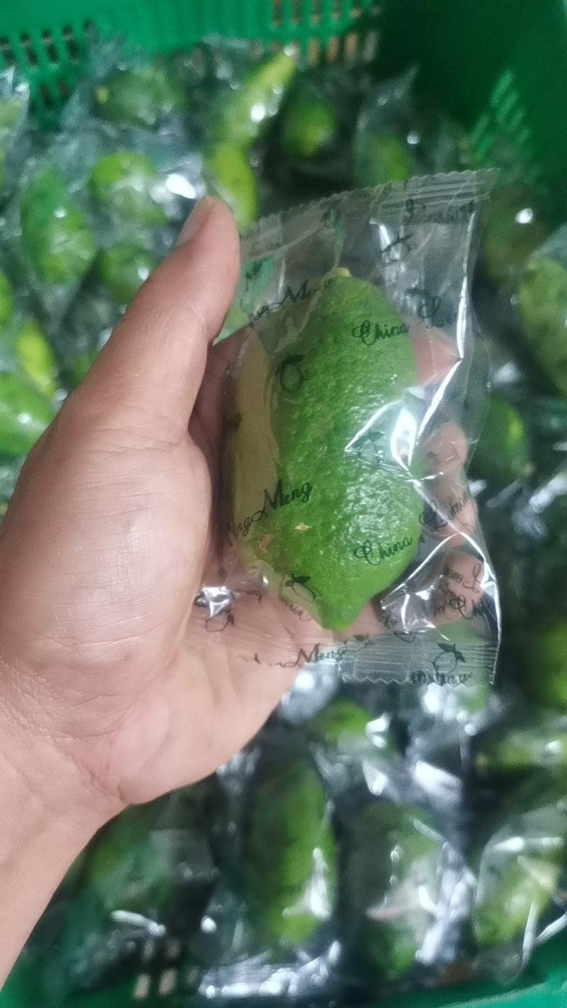 香水柠檬75~2.6两