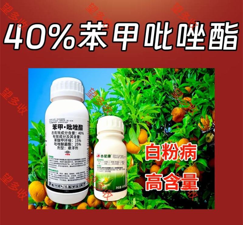 40%苯甲吡唑酯治疗杀菌剂真菌农用白粉病炭疽病内吸大厂家