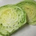 湖北甘蓝精品圆包菜产地一手货源量大从优全国发货