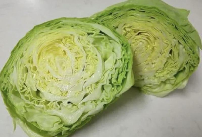 湖北甘蓝精品圆包菜产地一手货源量大从优全国发货