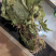 《牛商推荐》见血清干湿货库存充足量大从优欢迎老板选购