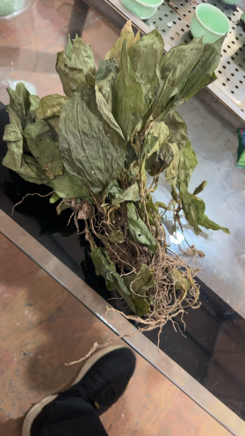 《牛商推荐》见血清干湿货库存充足量大从优欢迎老板选购