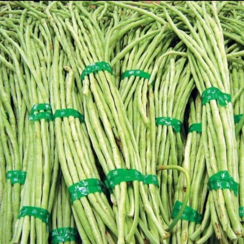 青豇豆酸豆角