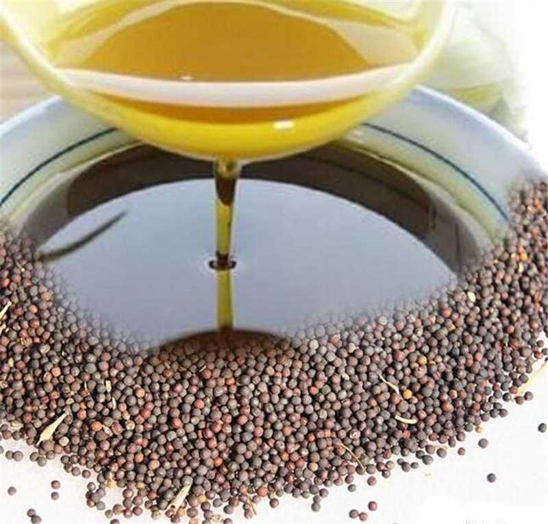 压榨菜籽油河北优质菜籽油可视频量大从优
