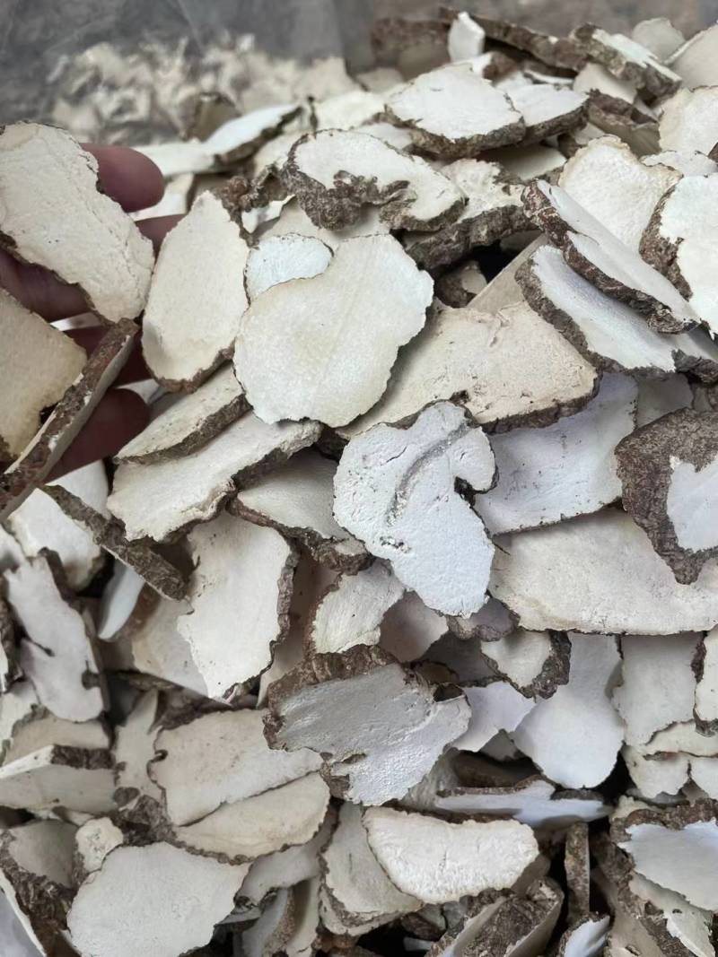 虎乳菌，虎奶菇，支持拿大货散货，价位具有优势，货源稳定