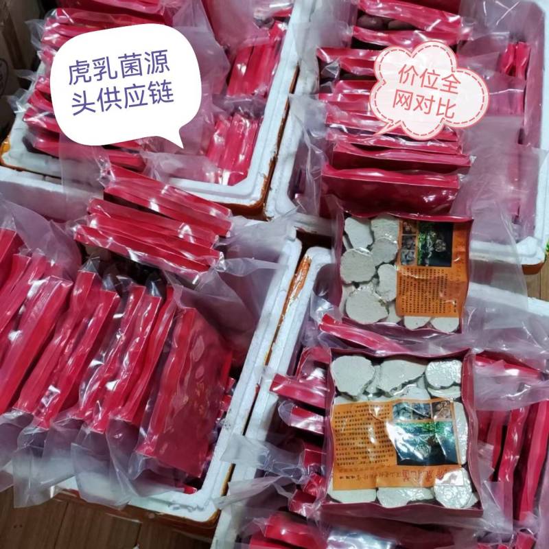 虎乳菌，虎奶菇，支持拿大货散货，价位具有优势，货源稳定