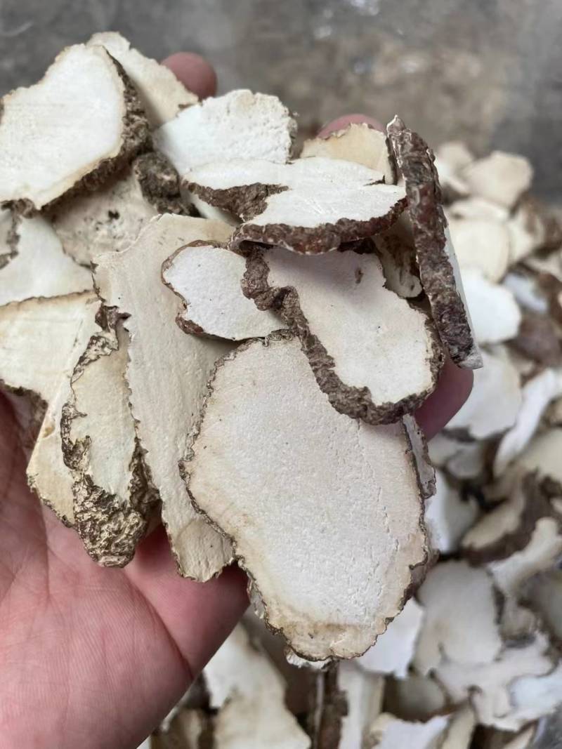 虎乳菌，虎奶菇，支持拿大货散货，价位具有优势，货源稳定