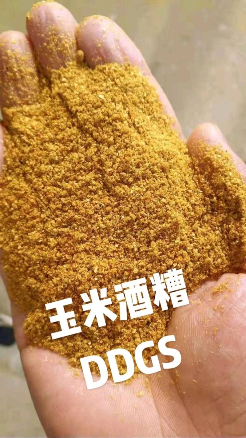 DDGS玉米酒糟。厂家直供，一手货源量大从优