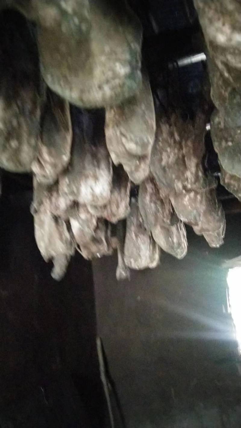 腊肉四川优质腊肉天然冷藏库存充足欢迎老板前来选购