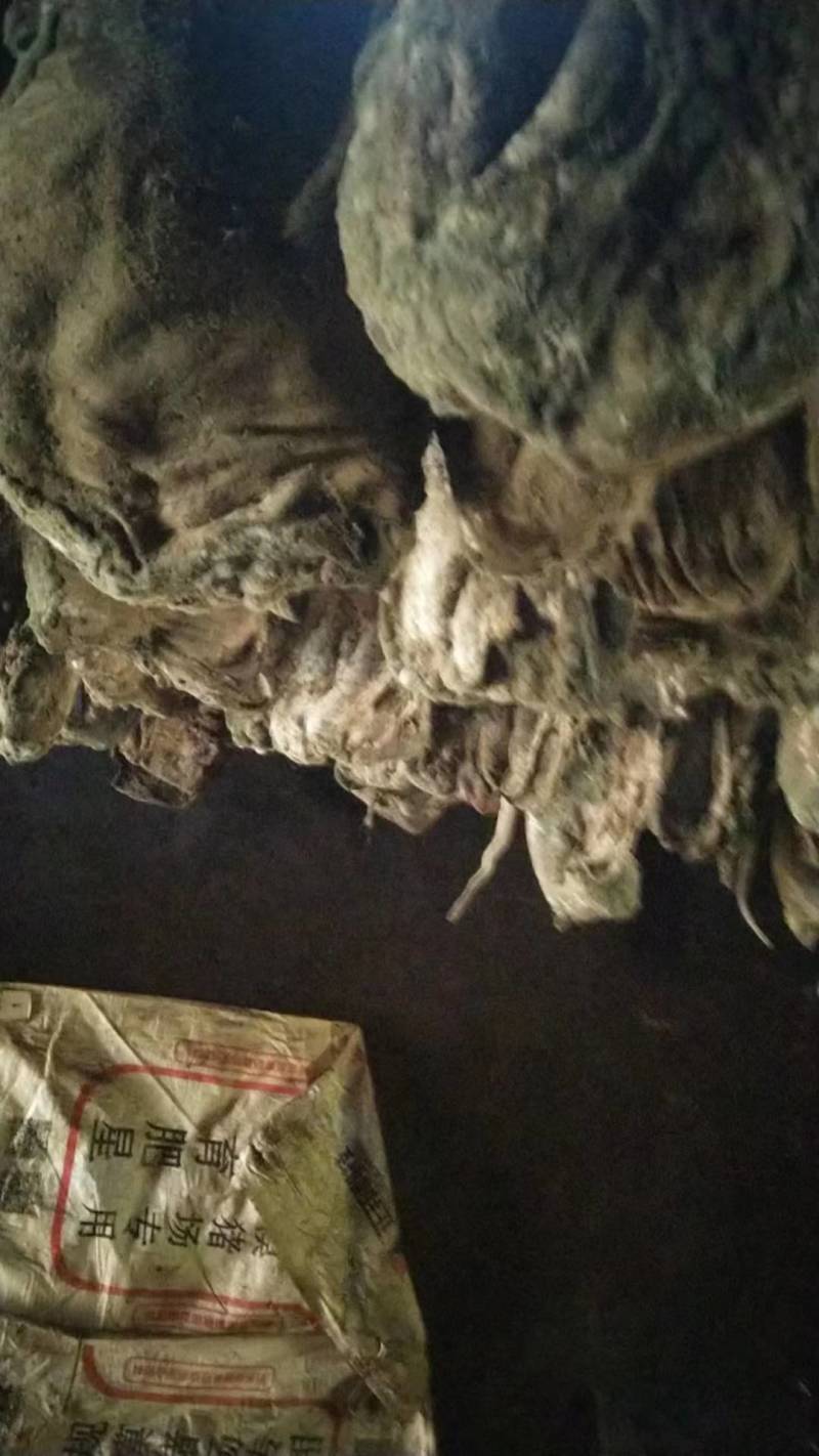 腊肉四川优质腊肉天然冷藏库存充足欢迎老板前来选购