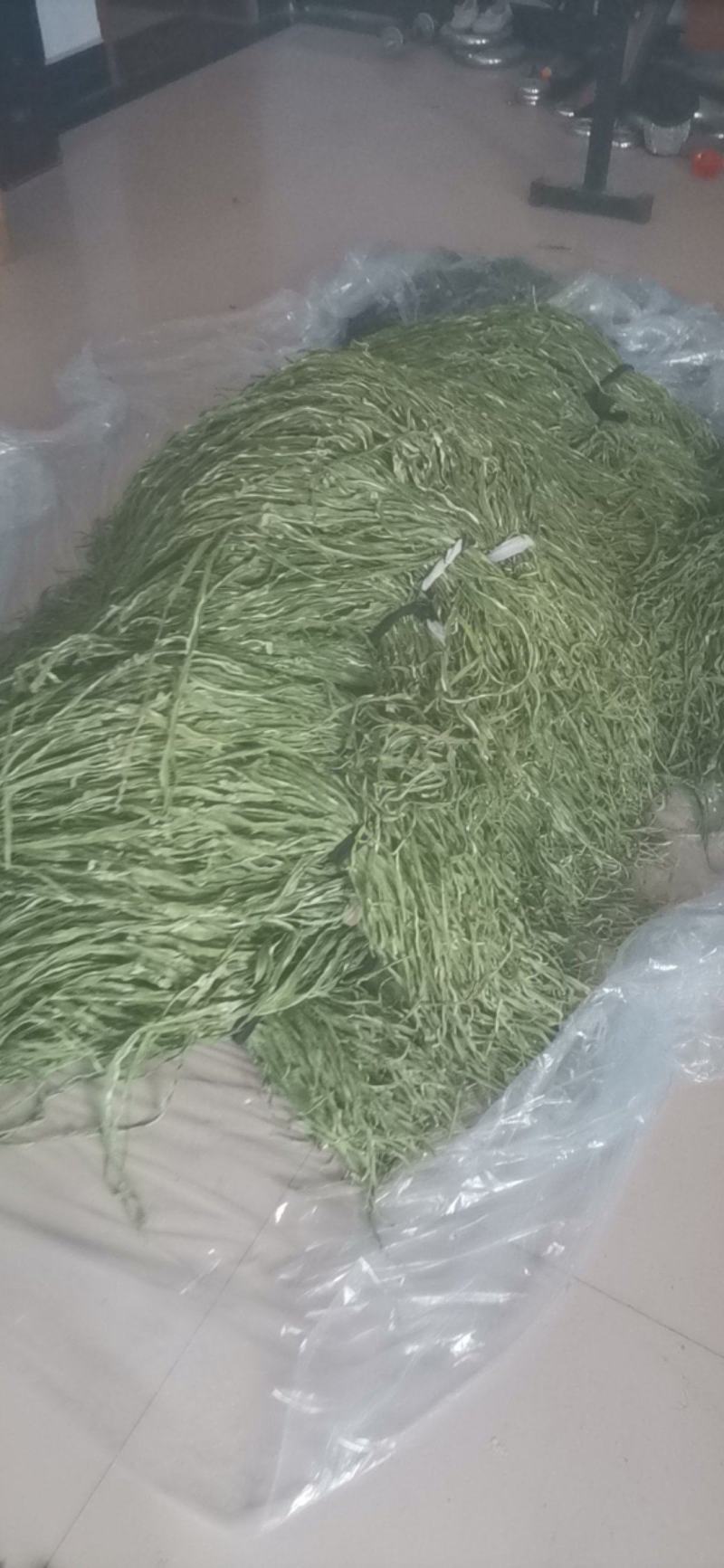邳州贡菜大量上市中