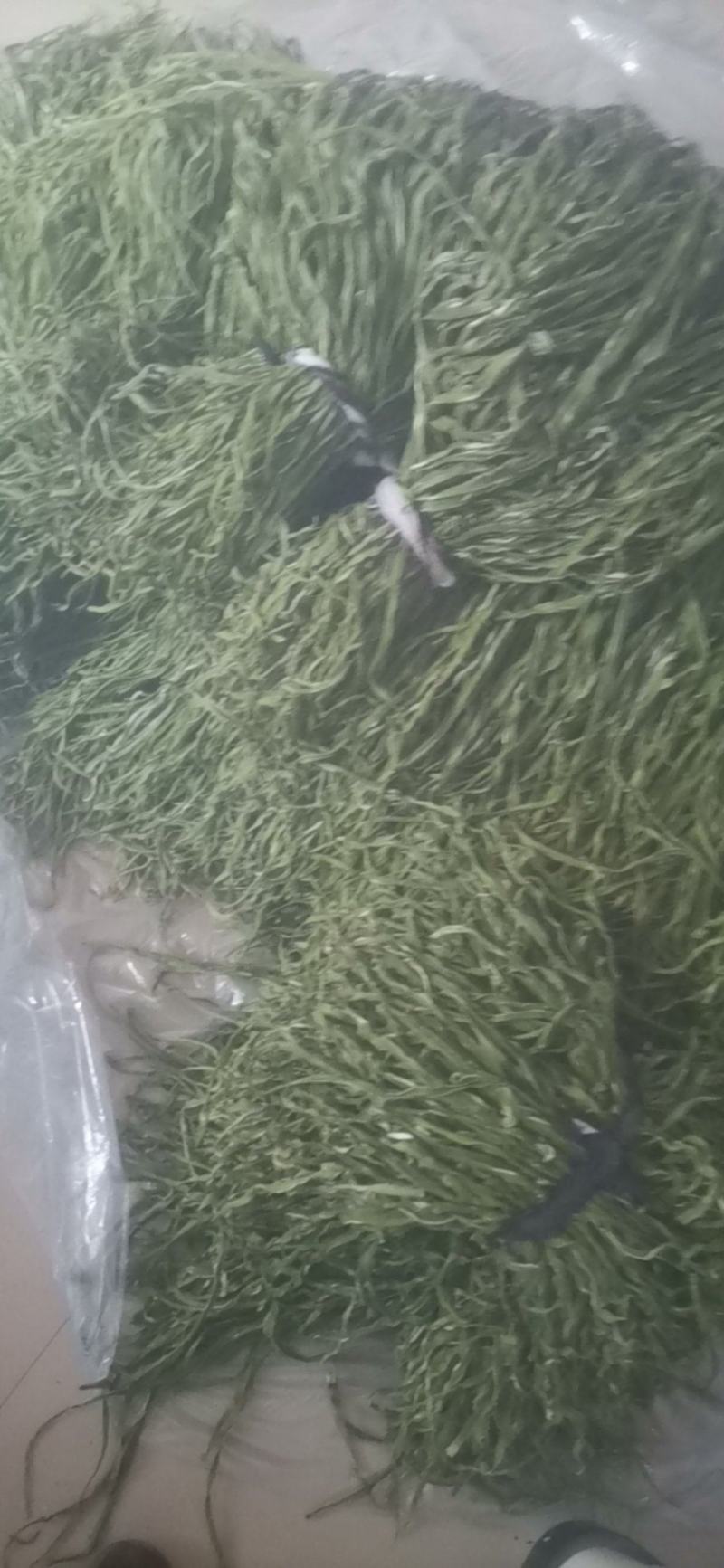 邳州贡菜大量上市中