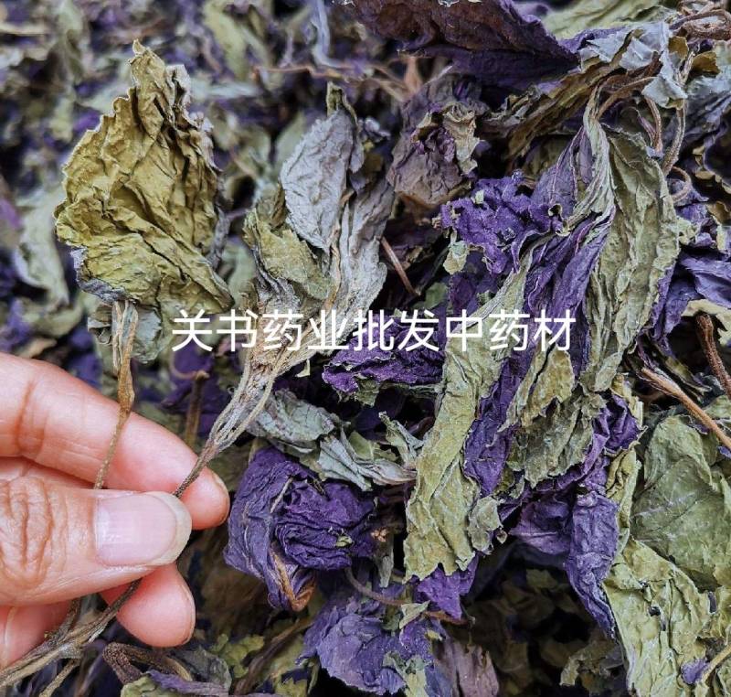 紫苏叶双面紫新货选【关书药业】批发中药材