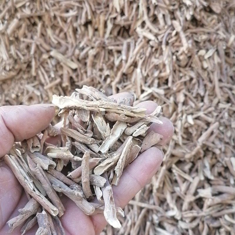 地骨皮枸杞根枸杞根皮