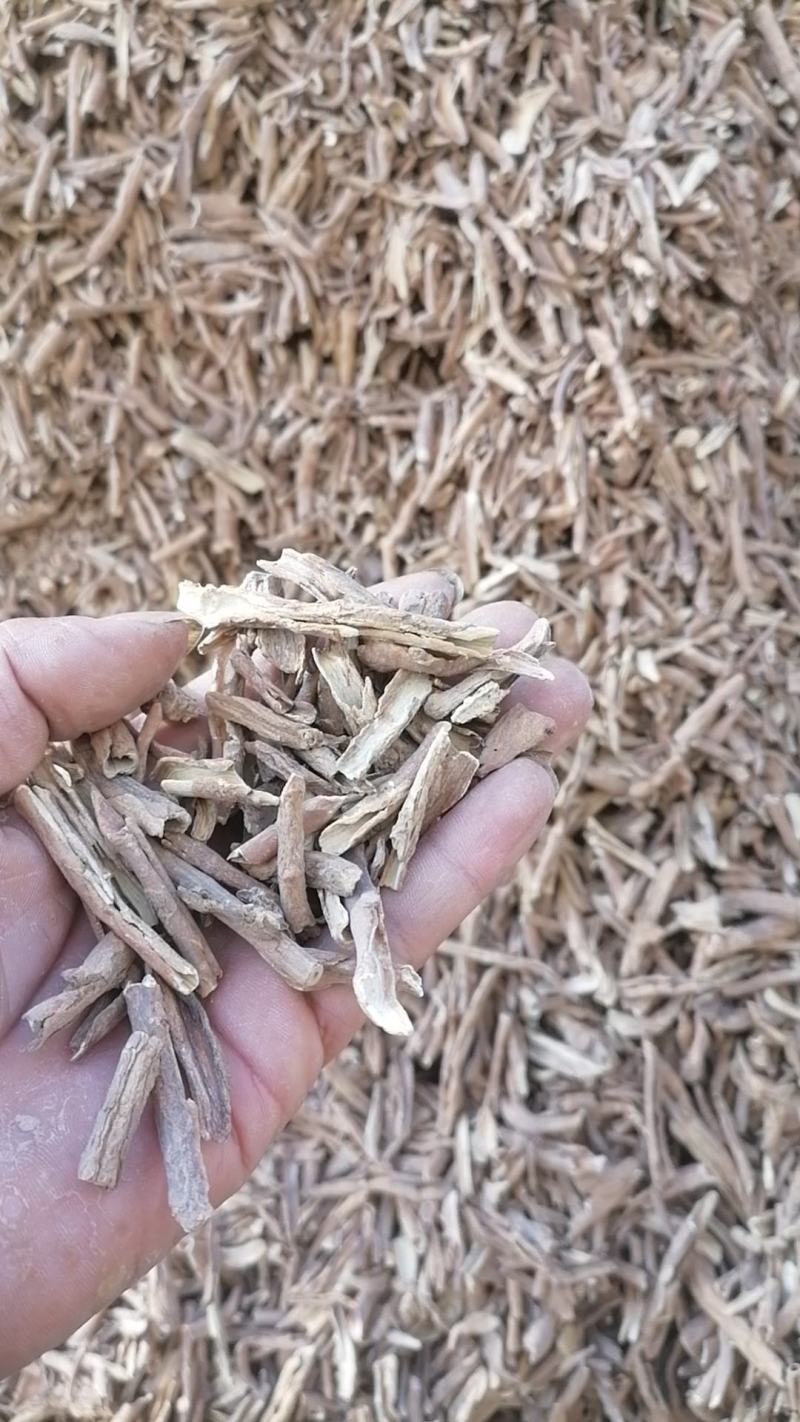 地骨皮枸杞根枸杞根皮
