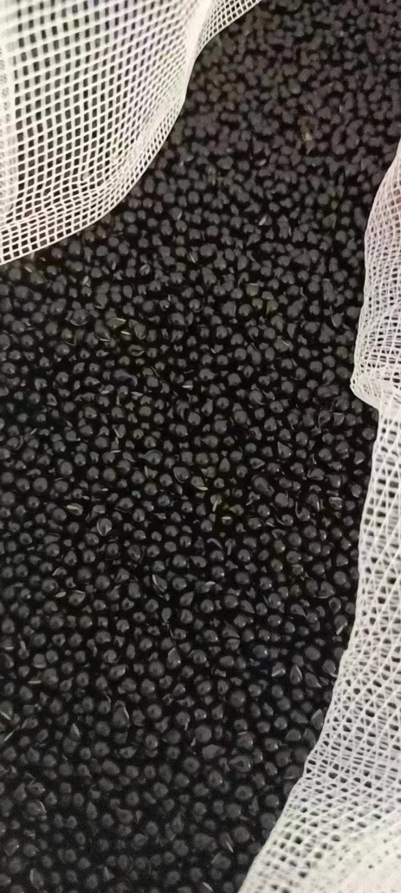 白鲜皮