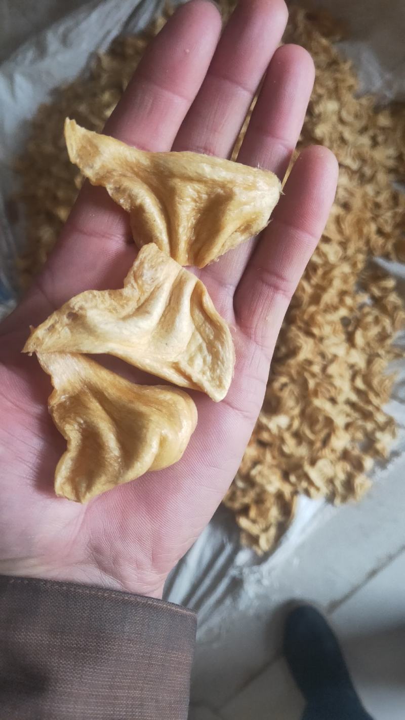 猫耳，豆耳人造肉，豆制品，绿色食品，营养健康，食用方便