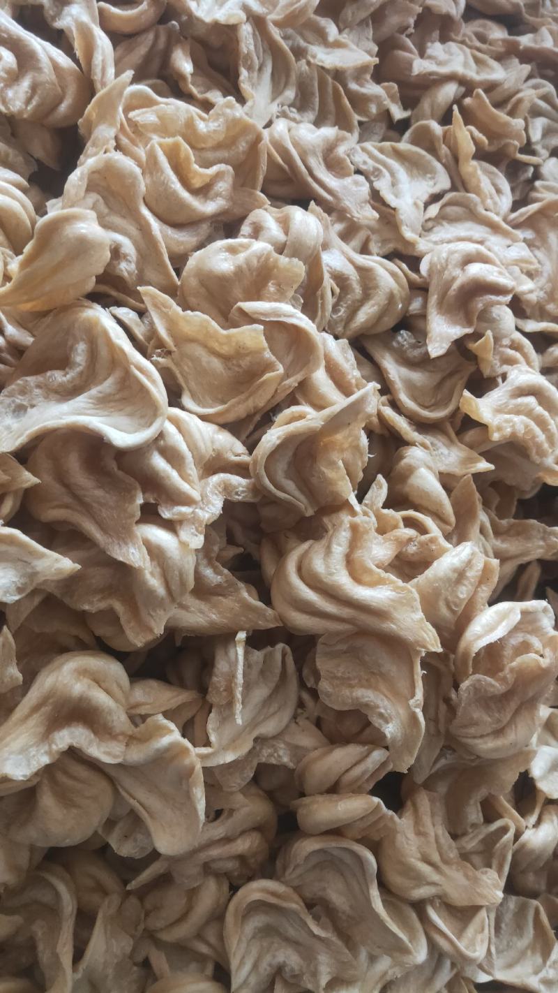 猫耳，豆耳人造肉，豆制品，绿色食品，营养健康，食用方便