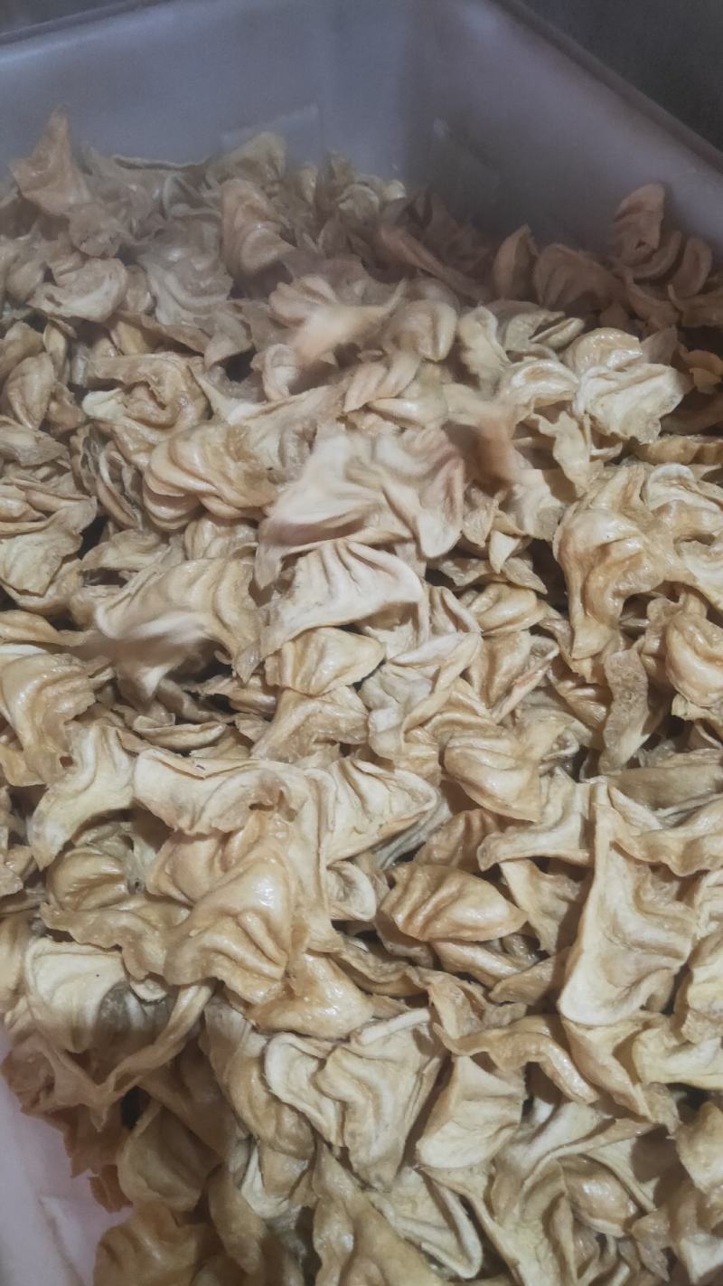 猫耳，豆耳人造肉，豆制品，绿色食品，营养健康，食用方便