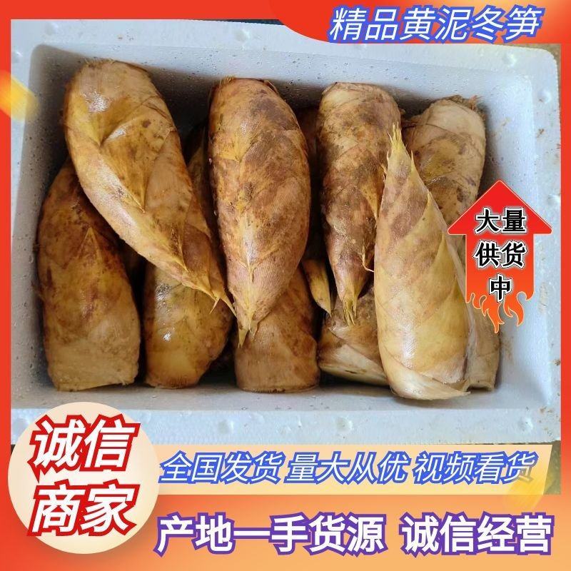 郭氏笋业，专业做冬笋