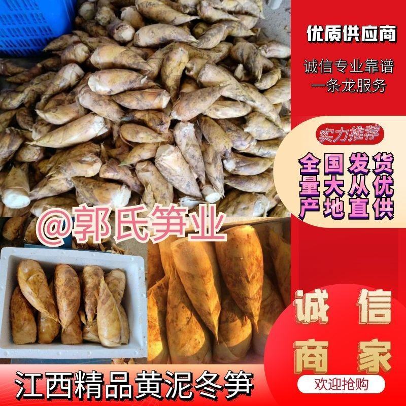郭业笋业，黄泥冬笋通货，量大从优全国发货质量保证