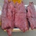 【麻辣酱香肉】老厂大块肉麻辣、五香