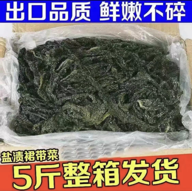 辽宁精品裙带菜鲜嫩不碎产地直供质量保证欢迎咨询
