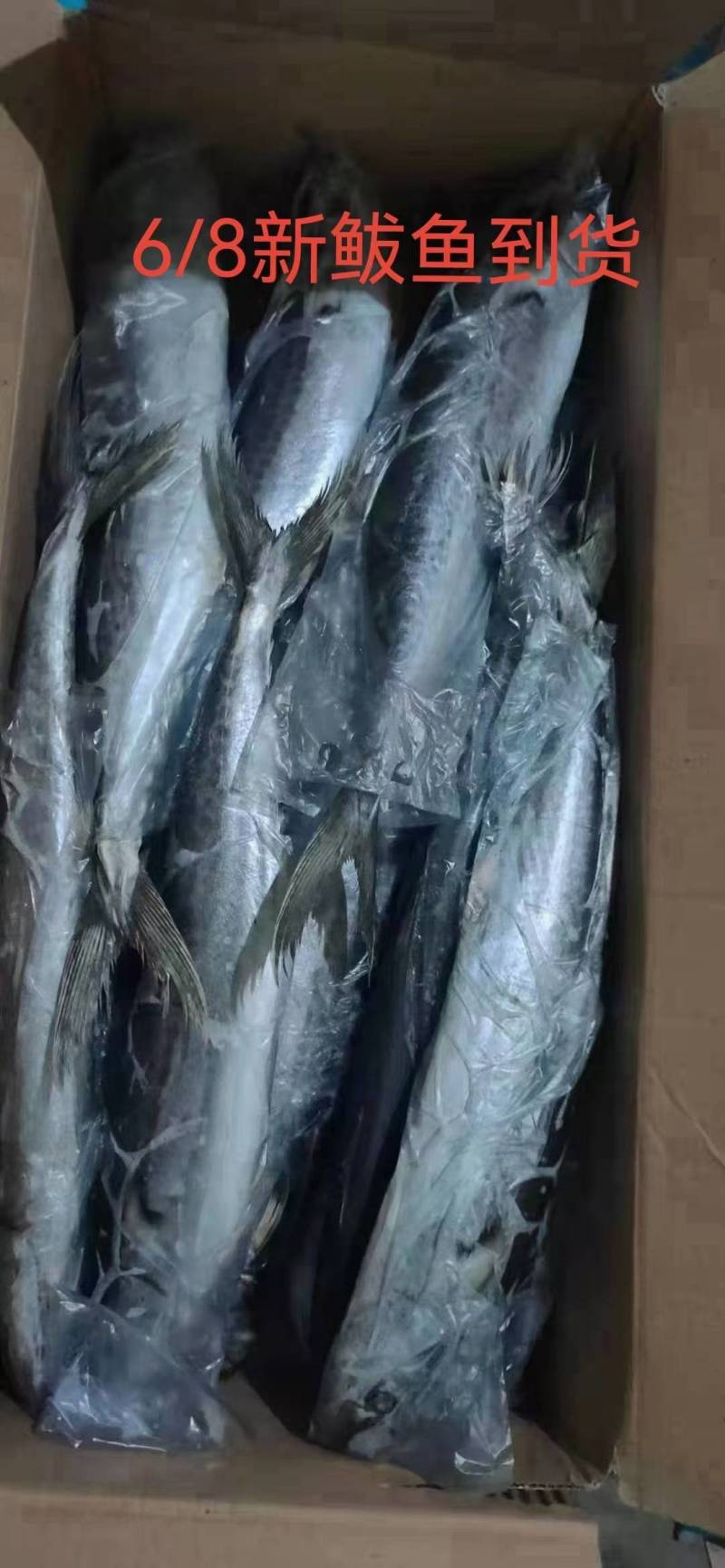 鲅鱼，马鲛鱼，燕鲅，质量好，大小都有，质量好，价格优惠