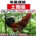 清仓特惠各种鸡苗小鸡批发包成活役苗开箱验货路损赔偿小鸡